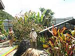 Foto Jamaica/ Jamaica_090