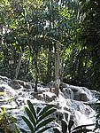 Foto Jamaica/ Jamaica_099