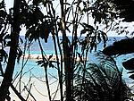 Foto Jamaica/ Jamaica_102