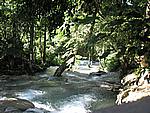 Foto Jamaica/ Jamaica_105