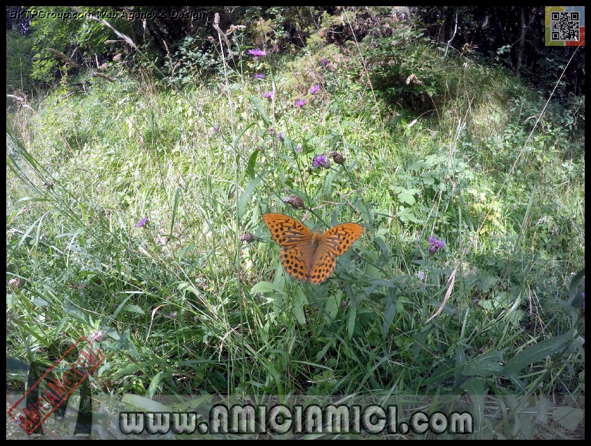 Lago_Bino_008 - Lago Bino - 714 KB