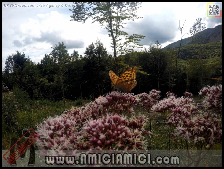 Lago_Bino_009 - Lago Bino - 490 KB