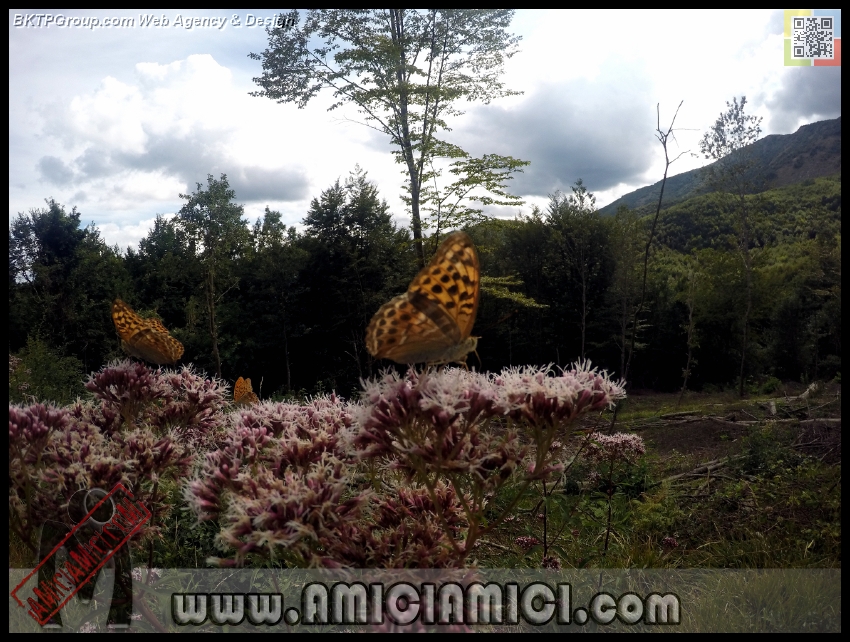 Lago_Bino_010 - Lago Bino - 485 KB
