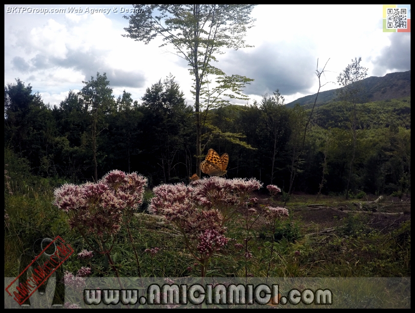 Lago_Bino_011 - Lago Bino - 500 KB