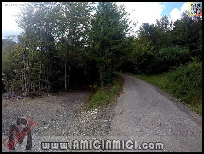 Lago_Bino_014 - Lago Bino - 547 KB