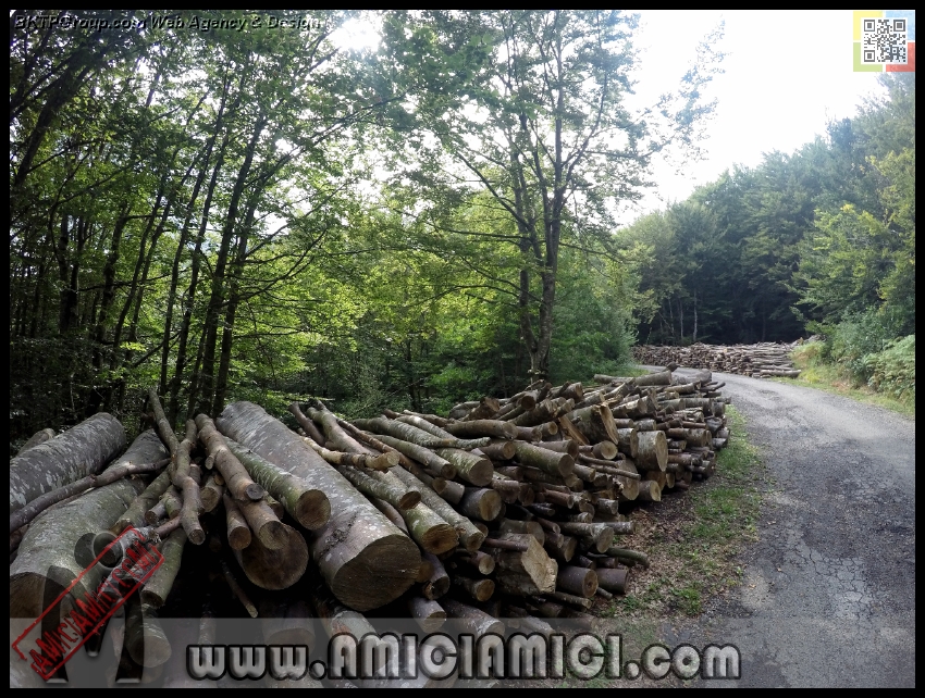 Lago_Bino_015 - Lago Bino - 591 KB
