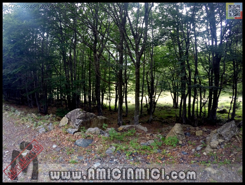 Lago_Bino_047 - Lago Bino - 648 KB