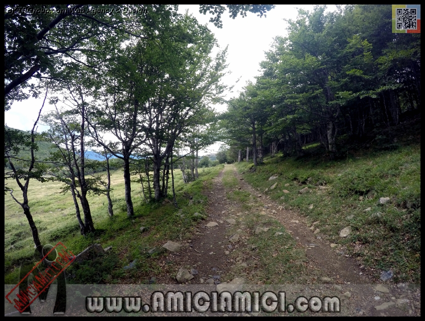 Lago_Bino_073 - Lago Bino - 611 KB