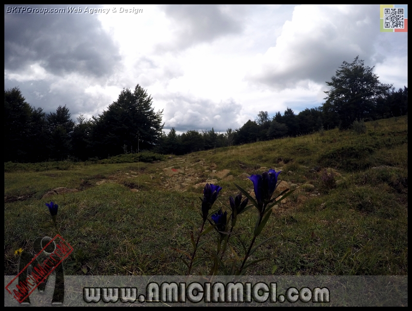 Lago_Bino_077 - Lago Bino - 439 KB