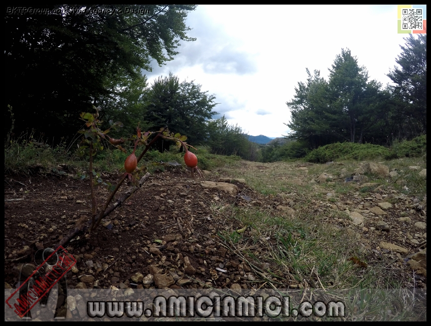 Lago_Bino_078 - Lago Bino - 506 KB