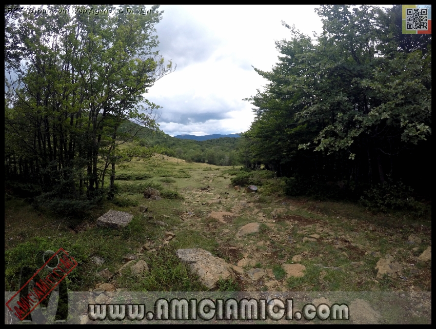 Lago_Bino_080 - Lago Bino - 524 KB
