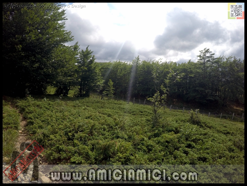 Lago_Bino_090 - Lago Bino - 497 KB