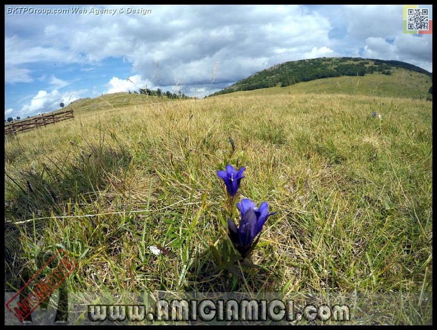 Lago_Bino_112 - Lago Bino - 638 KB