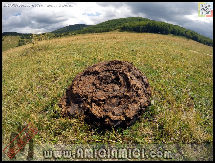 Lago_Bino_114 - Lago Bino - 680 KB