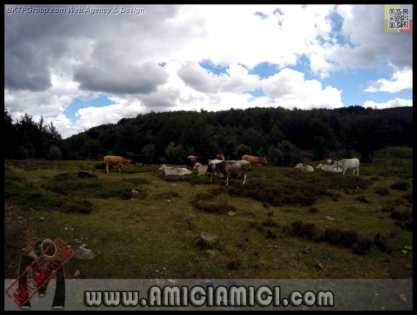 Lago_Bino_179 - Lago Bino - 404 KB