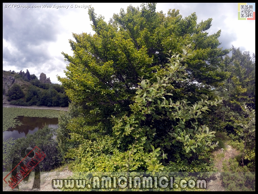Lago_Bino_201 - Lago Bino - 628 KB