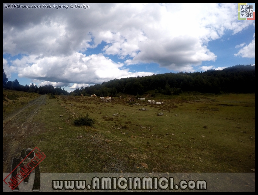 Lago_Bino_289 - Lago Bino - 402 KB