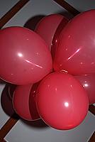 Foto Laurea Federica 2011 - Festa/ Laurea_Fede_2011_114