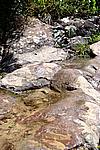 Foto Levanto e Monterosso da_Levanto_a_Monterosso_049