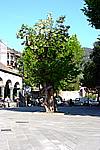 Foto Levanto e Monterosso da_Levanto_a_Monterosso_119