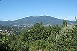 Foto Madonna del Faggio - Tornolo 2008/ Madonna_del_Faggio_2008_006