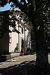 Foto Madonna del Faggio - Tornolo 2008/ Madonna_del_Faggio_2008_007