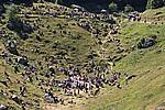 Foto Madonna del Monte Penna 2007 Madonna del Penna 2007 066