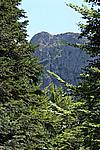 Foto Madonna del Monte Penna 2007 Madonna del Penna 2007 148