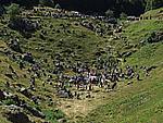 Foto Madonna del Monte Penna 2007 Madonna del Penna 2007 212