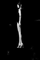 Foto Miss Italia 2012 - Miss Parma/ Miss_Parma_2012_394