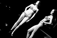 Foto Miss Italia 2012 - Miss Parma/ Miss_Parma_2012_488