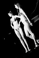 Foto Miss Italia 2012 - Miss Parma/ Miss_Parma_2012_525