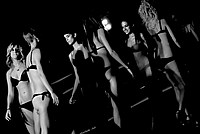 Foto Miss Italia 2012 - Miss Parma/ Miss_Parma_2012_562