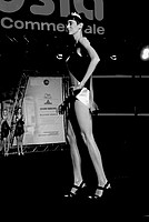 Foto Miss Italia 2012 - Miss Parma/ Miss_Parma_2012_686