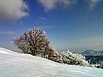 Foto Monte Pelpi Monte_Pelpi_008