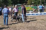 Foto Mostra Canina 2008 - Bedonia Mostra_Canina_2008_004