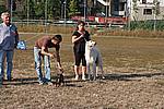 Foto Mostra Canina 2008 - Bedonia Mostra_Canina_2008_017