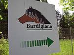 Mostra Cavallo Bardigiano 2007 001