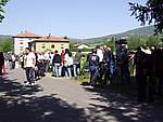 Foto Mostra Cavallo Bardigiano 2007 Mostra Cavallo Bardigiano 2007 019