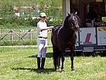 Mostra Cavallo Bardigiano 2007 061