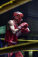 Foto Notte della Boxe 2011/ Notte_Boxe_2011_100