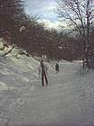 Foto Pista sci di fondo 2004 Pista sci di fondo 02 Passaggio Monte Penna