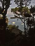 Foto Portofino e Santa Margherita Portofino e Santa Margherita 050