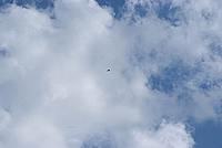 Foto Premio PEN Club - Compiano 2009/ PEN_2009_061