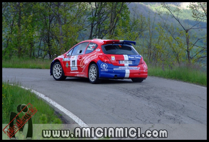 Rally_Taro_PS1_070 - Rally Valtaro 2012 - PS1 Bardi - 302 KB