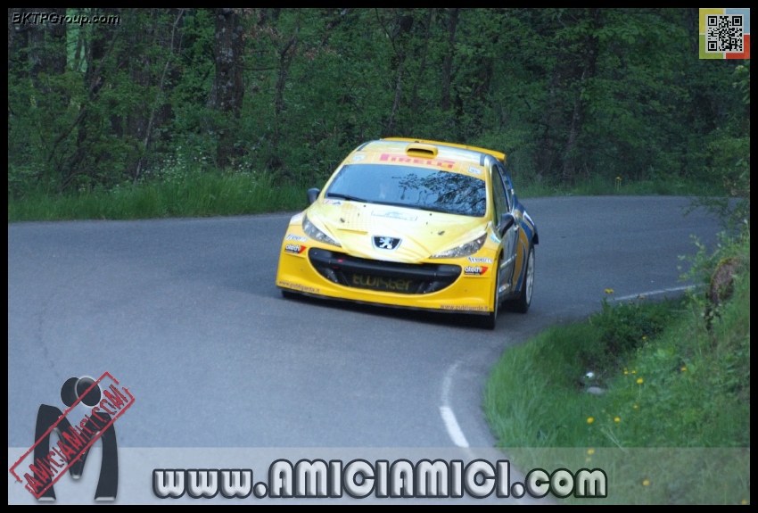 Rally_Taro_PS1_001 - Rally Val Taro 2013 - PS1 Bardi - 272 KB