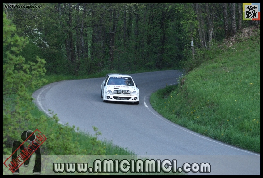 Rally_Taro_PS1_040 - Rally Val Taro 2013 - PS1 Bardi - 297 KB
