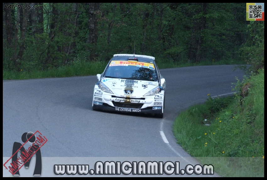 Rally_Taro_PS1_061 - Rally Val Taro 2013 - PS1 Bardi - 283 KB