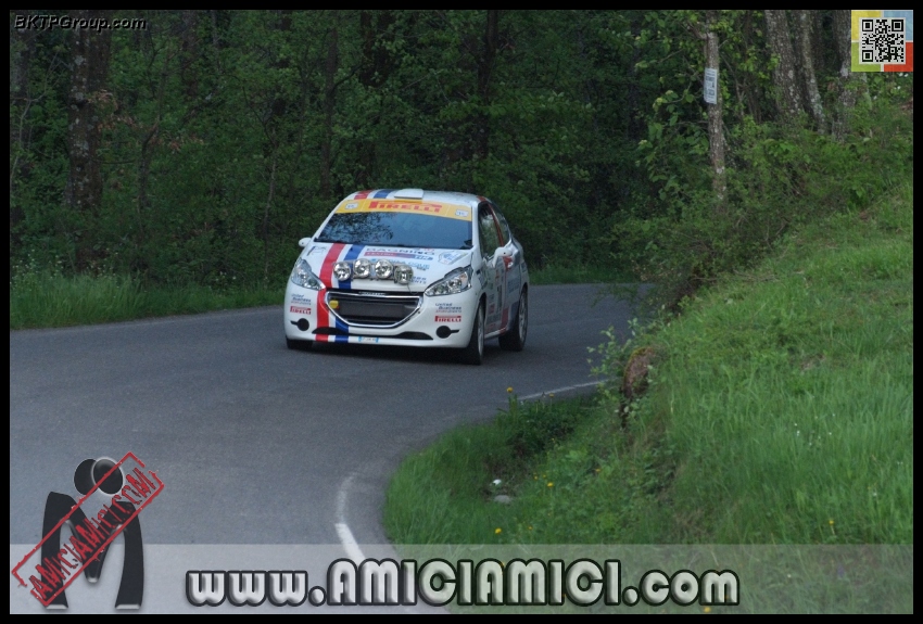 Rally_Taro_PS1_343 - Rally Val Taro 2013 - PS1 Bardi - 286 KB