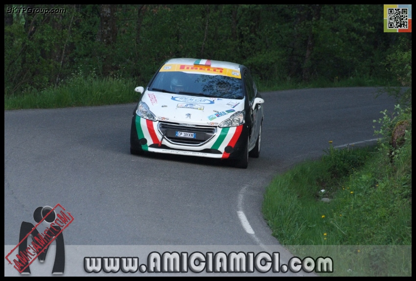 Rally_Taro_PS1_348 - Rally Val Taro 2013 - PS1 Bardi - 273 KB